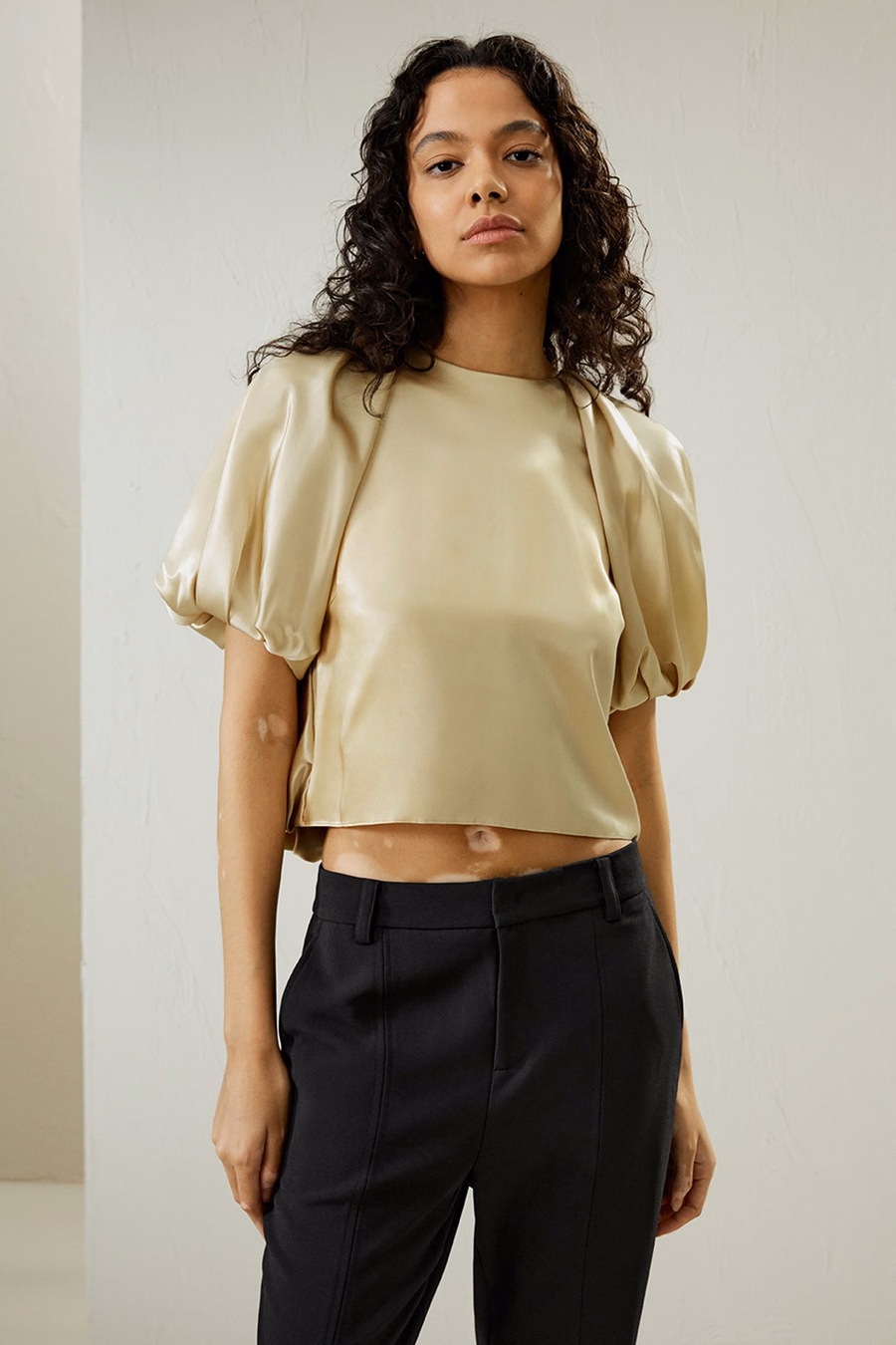 Puff Short Sleeve Watershine Silk Top
