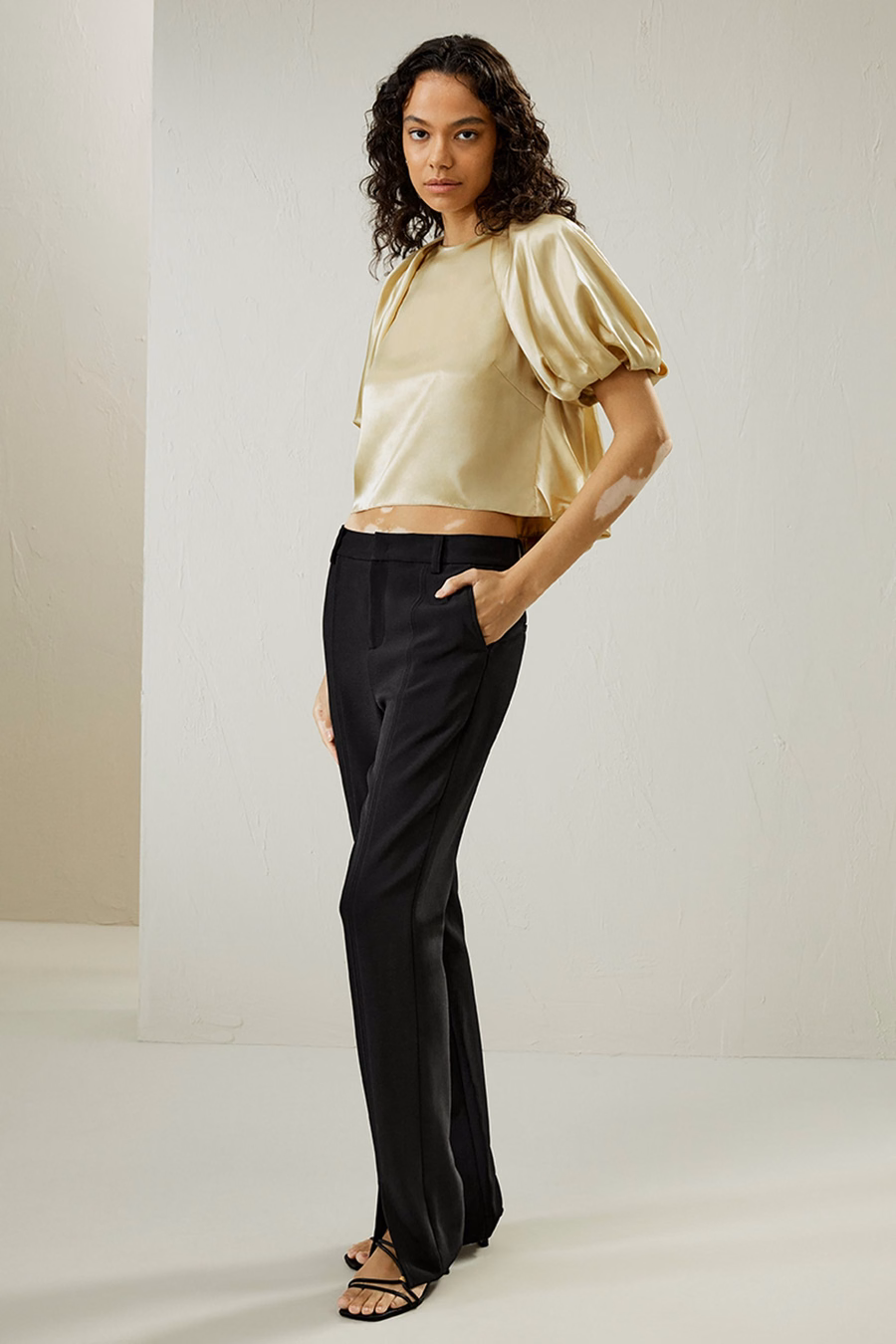 Puff Short Sleeve Watershine Silk Top